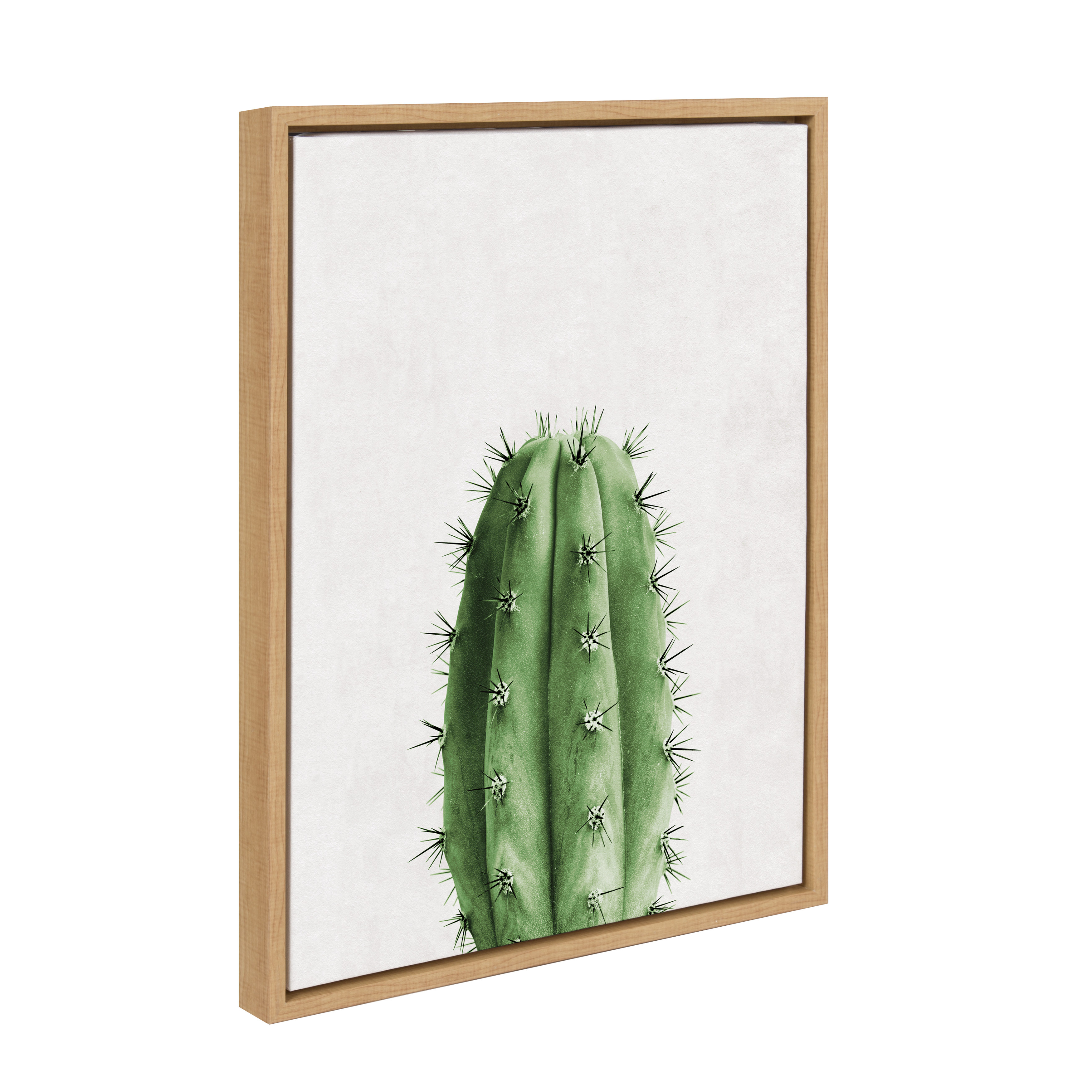 Kate and Laurel Sylvie Color Photo of Cactus Vertical Framed Canvas Wall Art, 18x24 Natural