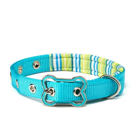 Vibrant Life Teal Striped Comfort Padded Dog Collar, Small, 8-14 in, 3/8 (Best No Slip Dog Collar)