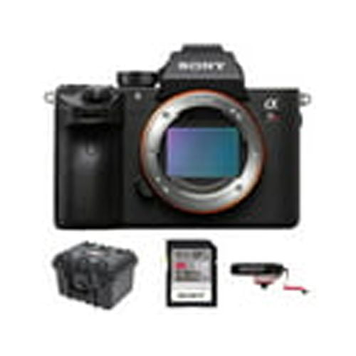 A7r Iii Sony A7iii Black Friday Costco Sony A7iii Nikon D7500