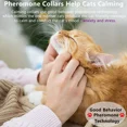 thumbnail image 3 of Collar Para Gatos, Collares Calmantes Para Gatos, Feromonas, 3 of 5