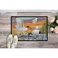 thumbnail image 2 of Sacred Ibis Door Mat, 2 of 3