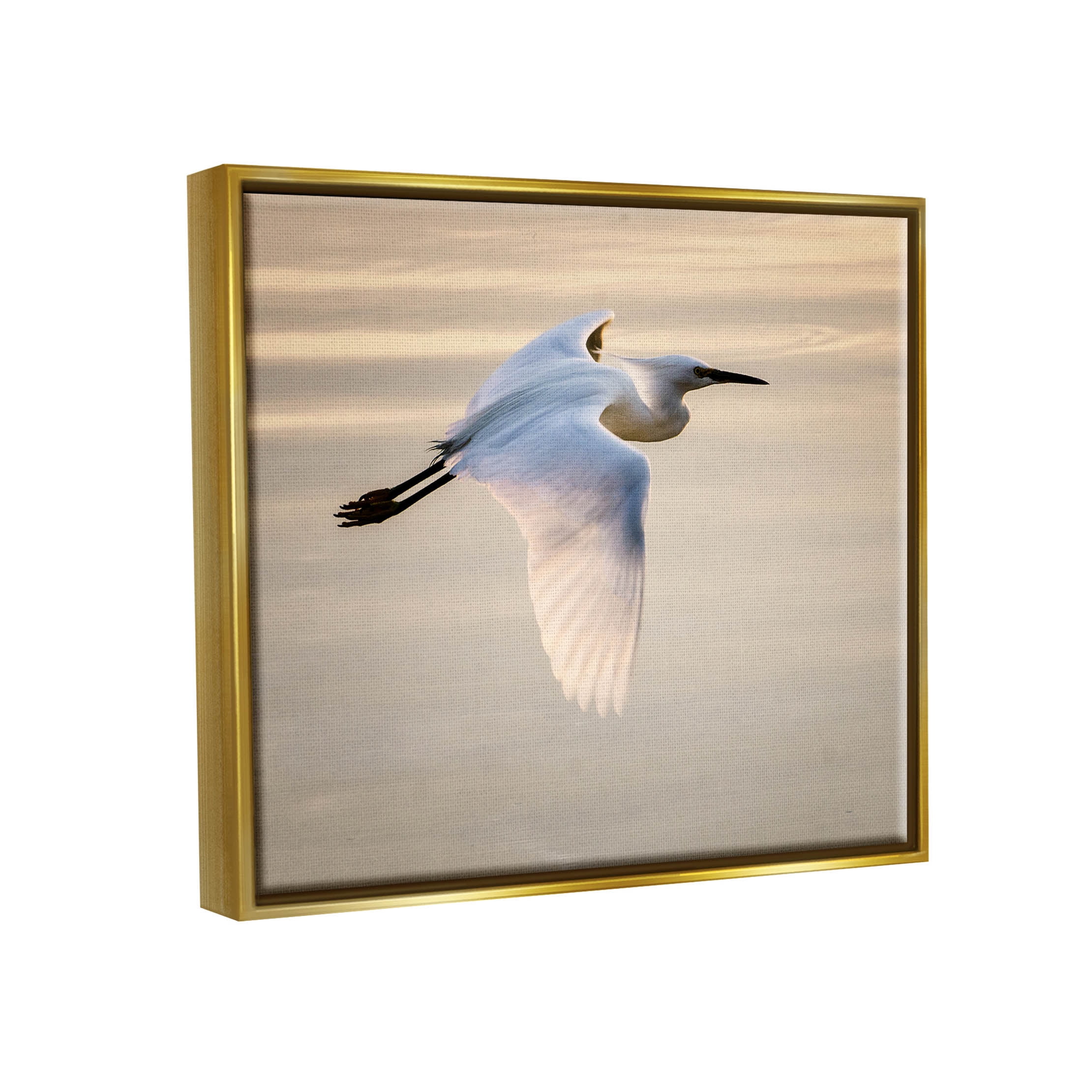 Egret Gliding Aerial View Animals & Insects Photograph Metallic Gold Framed Art Print Wall Art
