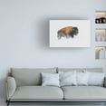 thumbnail image 3 of Debbie Hunt 'Bison In The Snow' Canvas Art, 3 of 3
