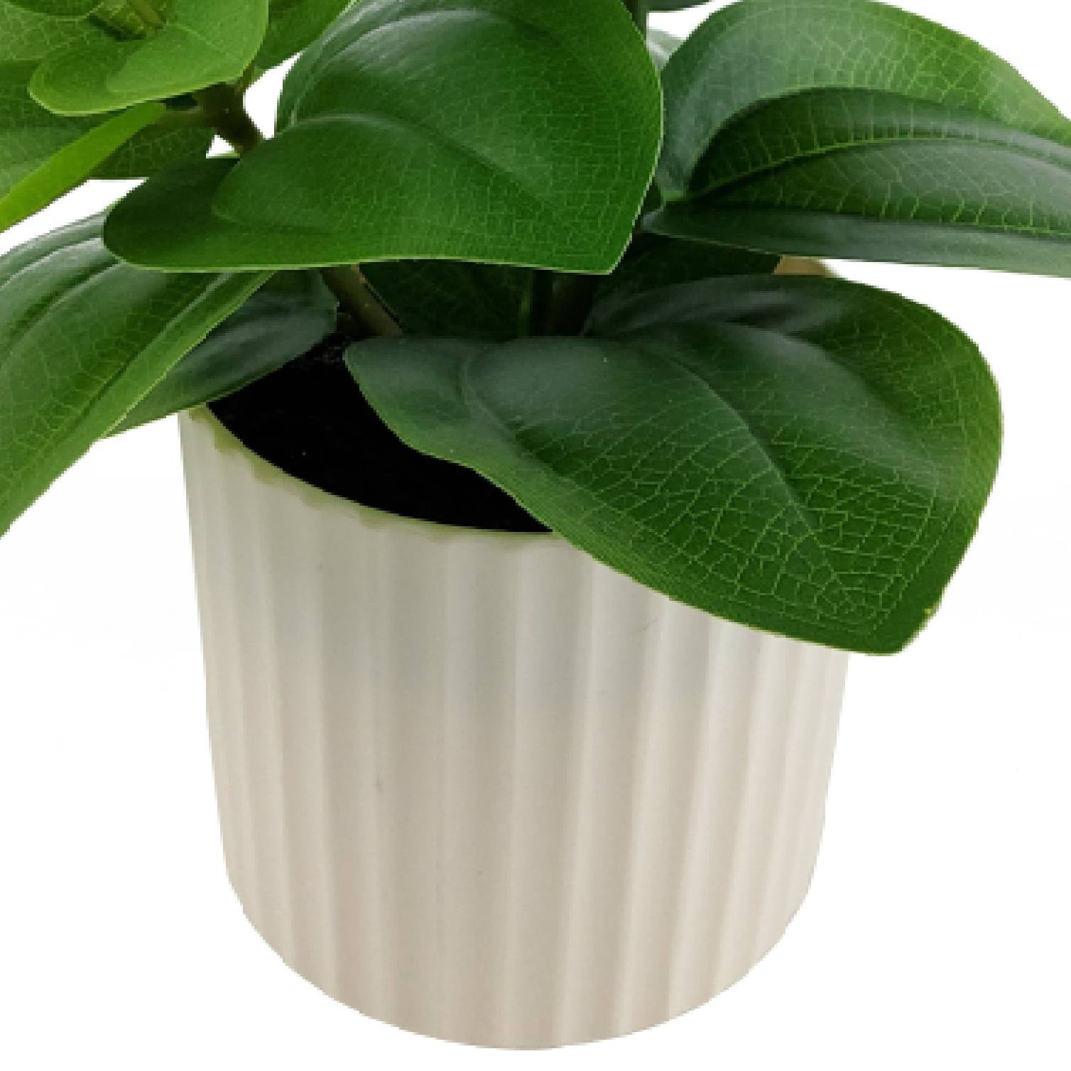 Mainstays 9 in Artificial Peperomia Plant in White Pot, Green Color, 0.5lb Weight.