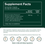 Prominent Nutrition Berberine Phytosome - Up to 9.6x Superior Absorption - Standardized Berberine for Digestive, Gut & Heart Health Support - Non-GMO, Vegan & Gluten-Free - 60 Capsules (60 Servings)