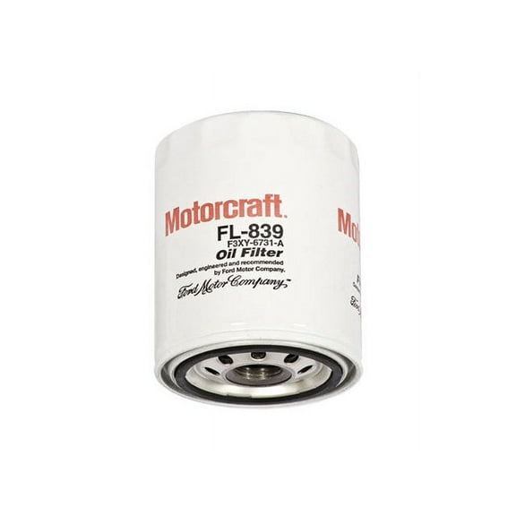 Oil Filter - Compatible with 1960 - 1979 Volkswagen Beetle 1961 1962 1963 1964 1965 1966 1967 1968 1969 1970 1971 1972 1973 1974 1975 1976 1977 1978