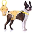 thumbnail image 1 of Dog Diapers Female Washable Sanitary Pantie with Adjustable Suspender, Reusable Doggie Diapers for Male Girl Dogs in Heat, Yellow leaves (Yellow leaves M), 1 of 5