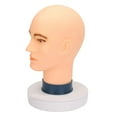 thumbnail image 5 of Toysmith Makeup Doll Head Male Mannequin Head Training Professional Male Hair Model Head for Necklace Hats Wigs Making Styling Glasses style B, 5 of 9
