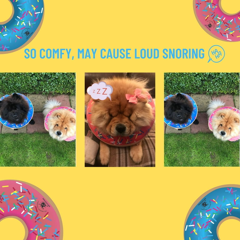 Dog cone cheap walmart near me