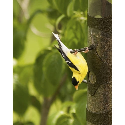 Perky Pet 3 Lb Upside Down Goldfinch Wild Bird Feeder Walmart Com