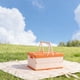 thumbnail image 4 of CaiYueKe Foldable Storage Box with Handle, Portable Organizer Basket for Home Camping Picnics, Collapsible Plastic Container for Toys Snacks Outdoor Gear, Multi-Purpose Ventilated Storage Bin, 4 of 7