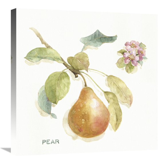 Global Gallery's 'Orchard Bloom II' By Lisa Audit Stretched Canvas Wall Art