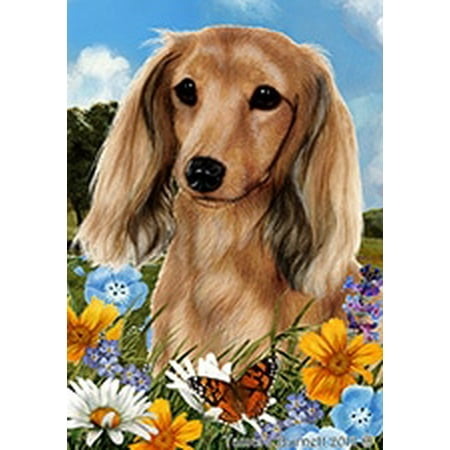 Dachshund Longhaired Cream - Best of Breed Summer Flowers Garden