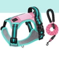 thumbnail image 2 of Colour-Block Dog Leash and Harness Set, Stylish Patterned Walking Gear, Adjustable Soft Mesh Vest for Dogs, Secure Buckle Closure, Lightweight Design(A, L), 2 of 3