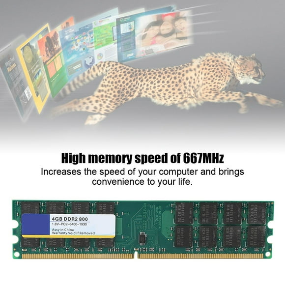 RAM Memory for AMD Desktop Computer with 800MHz Speed, Chips, Compatible, Fast Operation