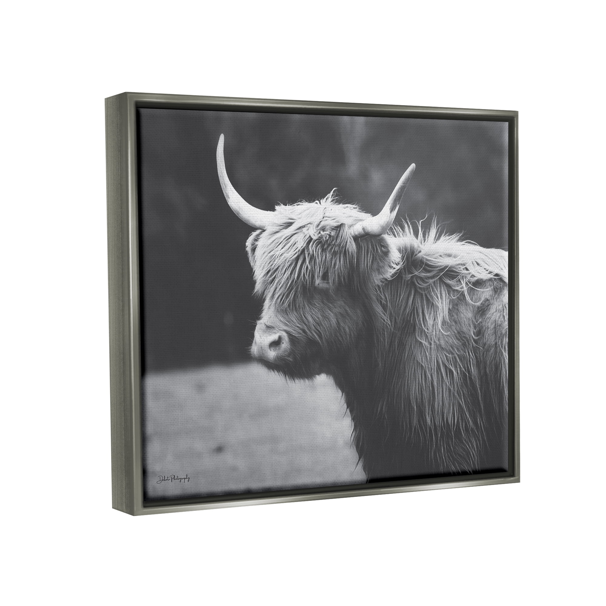 Stupell Country Cattle Highland Farm Animal Animals & Insects Photography Gray Floater Framed Art Print Wall Art