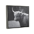 thumbnail image 3 of Stupell Country Cattle Highland Farm Animal Animals & Insects Photography Gray Floater Framed Art Print Wall Art, 3 of 6