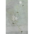 thumbnail image 4 of Cozy and Elegance - Embroidery Daisy Kitchen Curtain Swag Tier Window Treatment Set,Ivory,Pink, 4 of 4