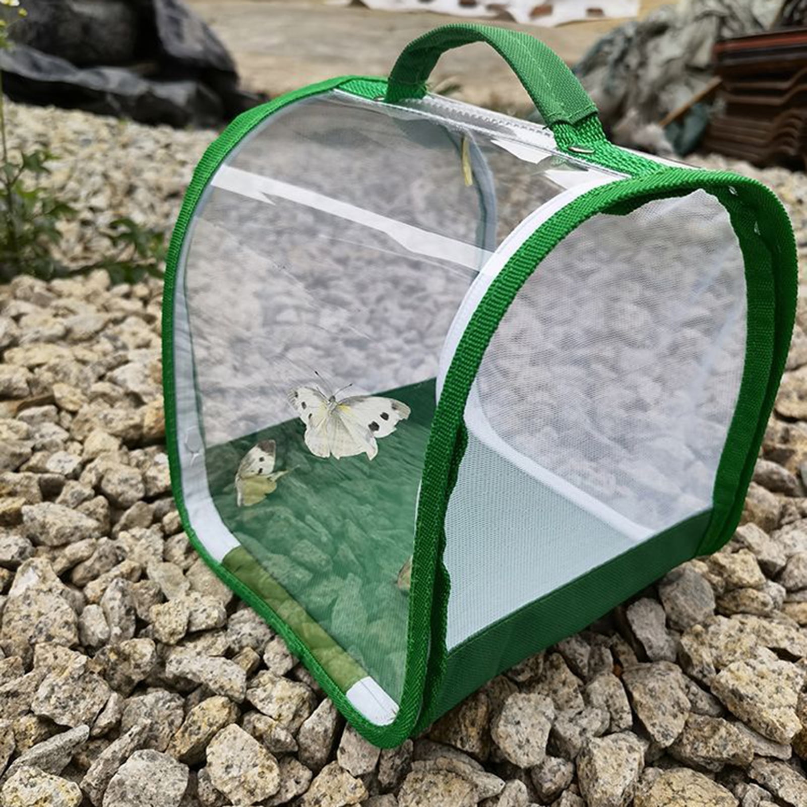 Travelwant Small Butterfly Habitat, Insect Mesh Cage, Caterpillar