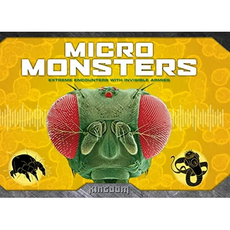 Kingdom: Micro Monsters Kingdom Kingfisher , Pre-Owned Paperback 0753467275 9780753467275 Nam Nguyen