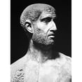 thumbnail image 2 of Terence.Npublius Terentius. Roman Playwright. Roman Sculpture Bust. Poster Print by, 2 of 2