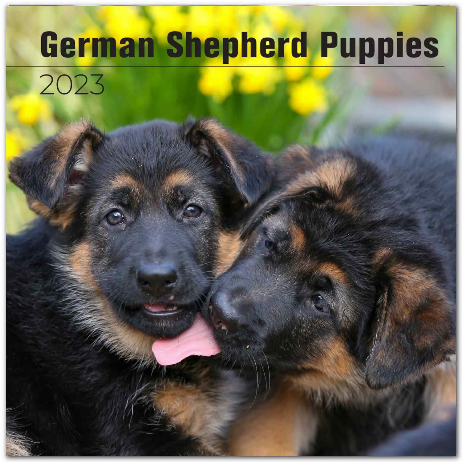 2022 2023 German Shepherd Puppies Calendar - Dog Breed Monthly Wall Calendar - 12 x 24 Open - Thick No-Bleed Paper - Giftable - Academic Teacher's Planner Calendar Organizing & Planning - Made in USA
