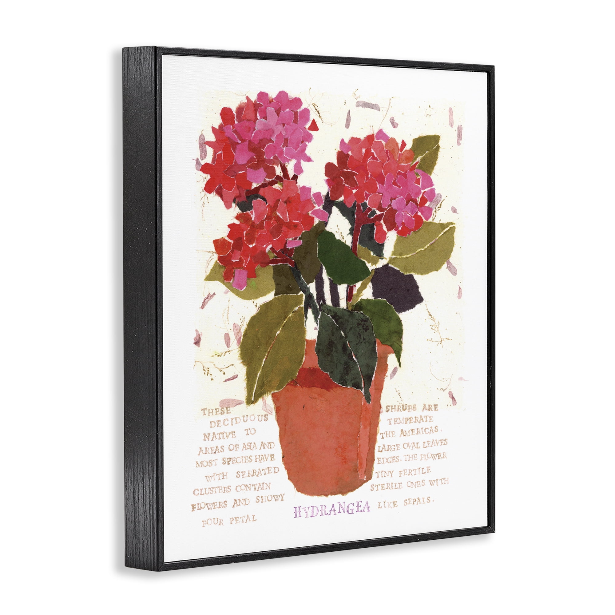 Stupell Industries Bold Red Hydrangea Botanical & Floral Painting Black Framed Art Print Wall Art, 16 x 20