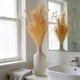 thumbnail image 5 of Tallo Artificial de Hierba de las Pampas, Textura Aterciopelada, Caña Decorativa, Arreglo Floral de 62 cm de Largo para Bodas, Fiestas, Decoración del Hogar, 5 of 6
