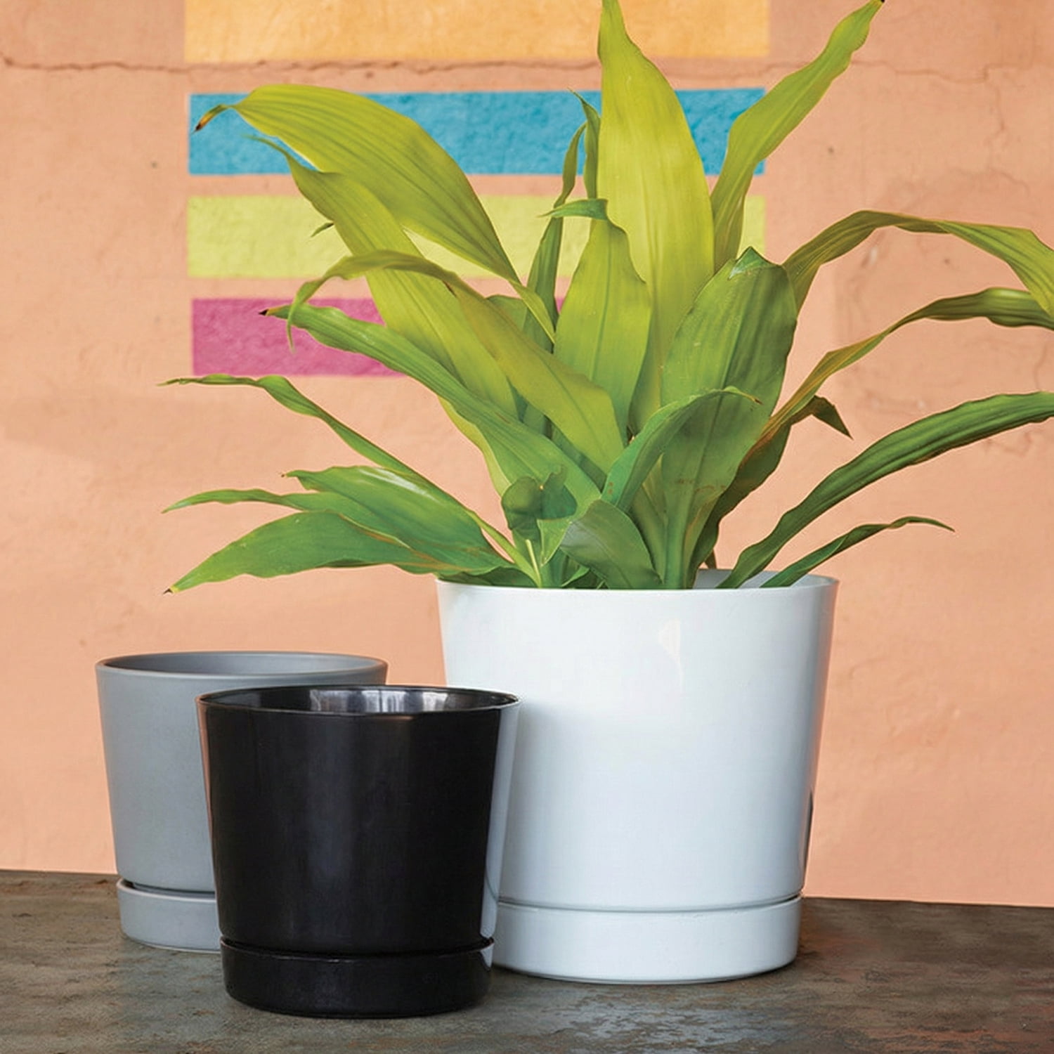 Root & Vessel Majestic Full Depth Cylinder Planter, Gray, 12"