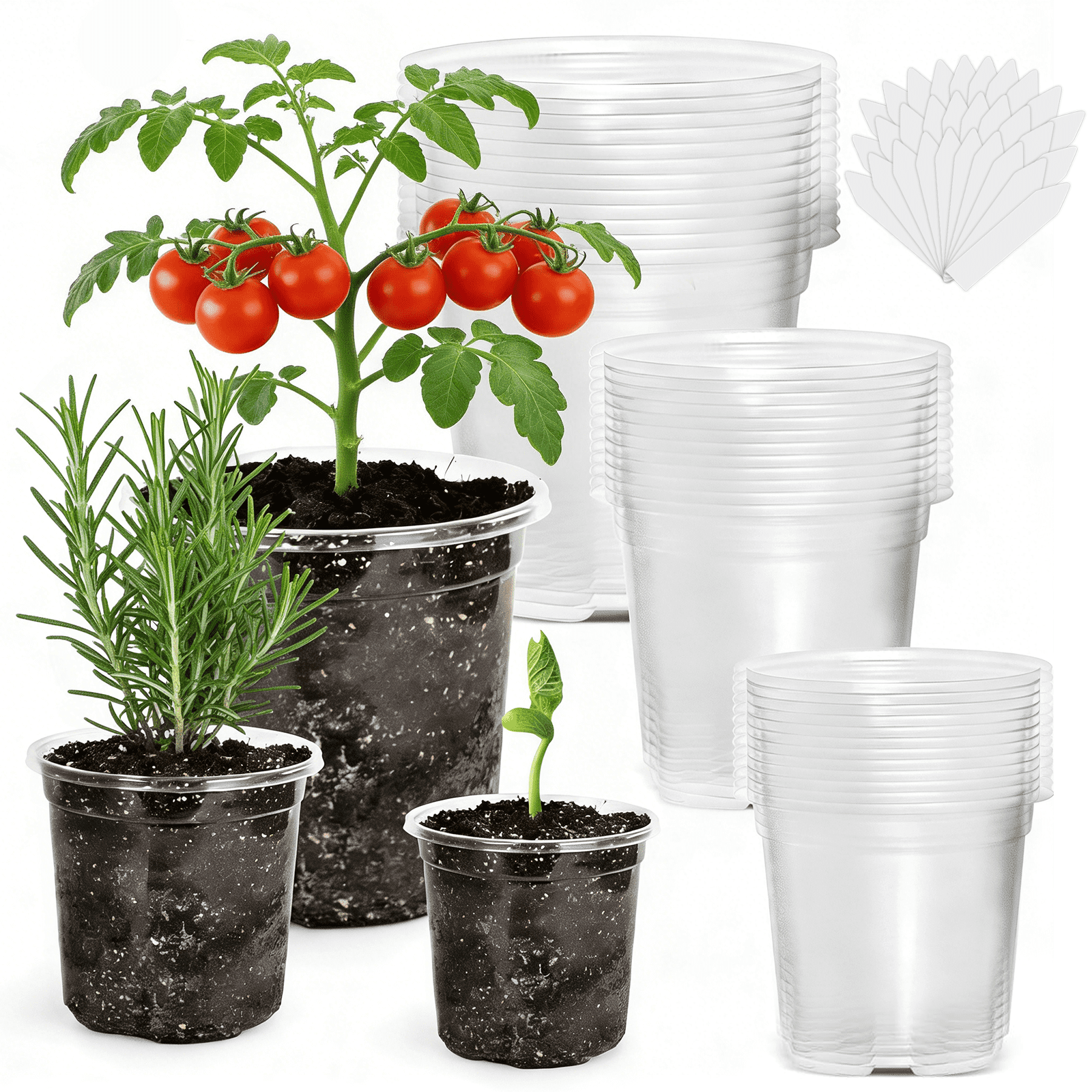 36 Pack Clear Nursery Pots, 5/4/3.5 Inch Plastic Plant Pots with Drainage Holes, Reinforced Transparent Seedling Pots for Indoor Outdoor Use, Includes 30 Plant Labels
