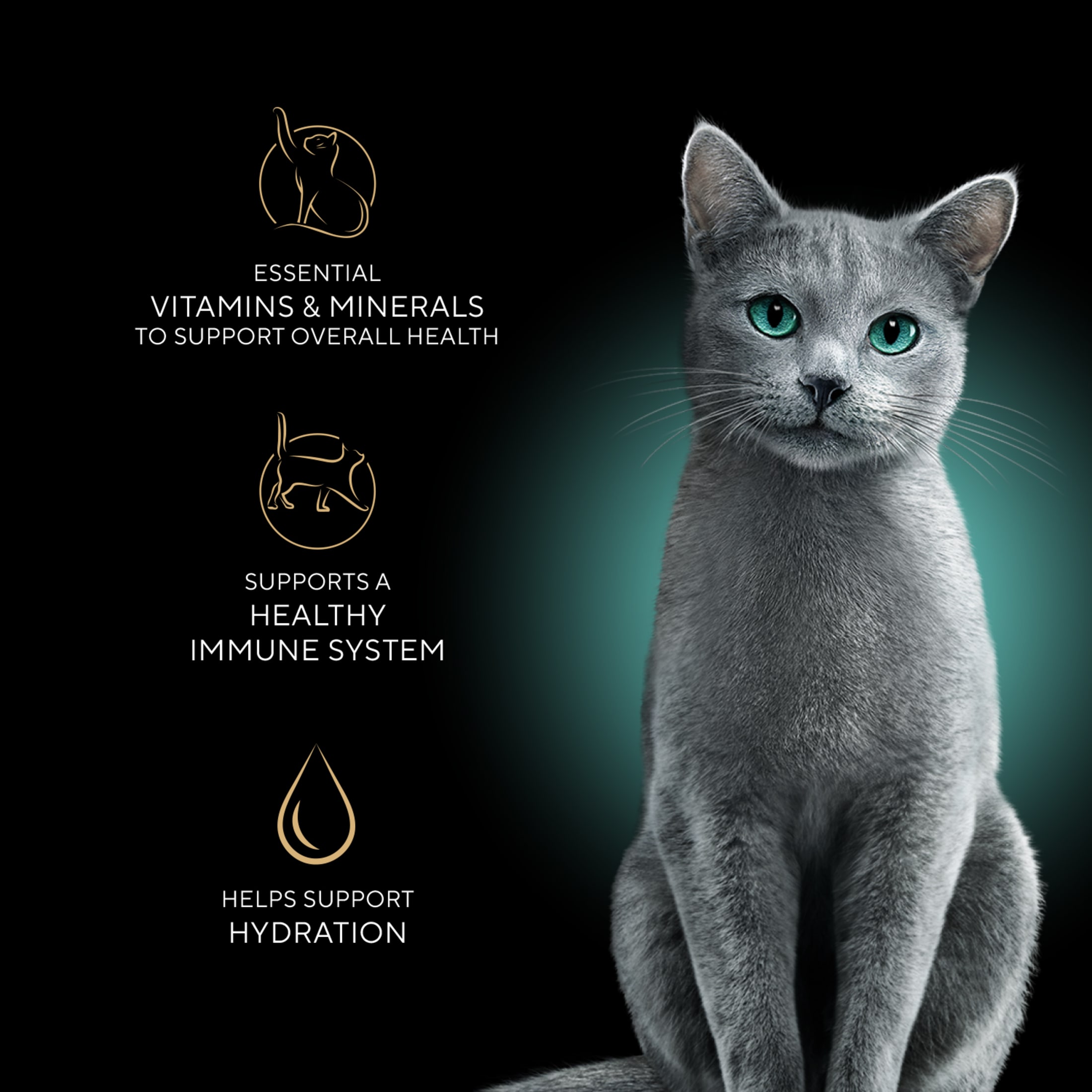 SHEBA Perfect Portions Variety Pack Wet Cat Food, 6-Pack photo 5