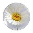 thumbnail image 1 of Ruifaya Bola de cristal con flor preservada, flor en espécimen de resina de lucita transparente, esfera transparente para sala de estar súper decorativa, 1 of 7