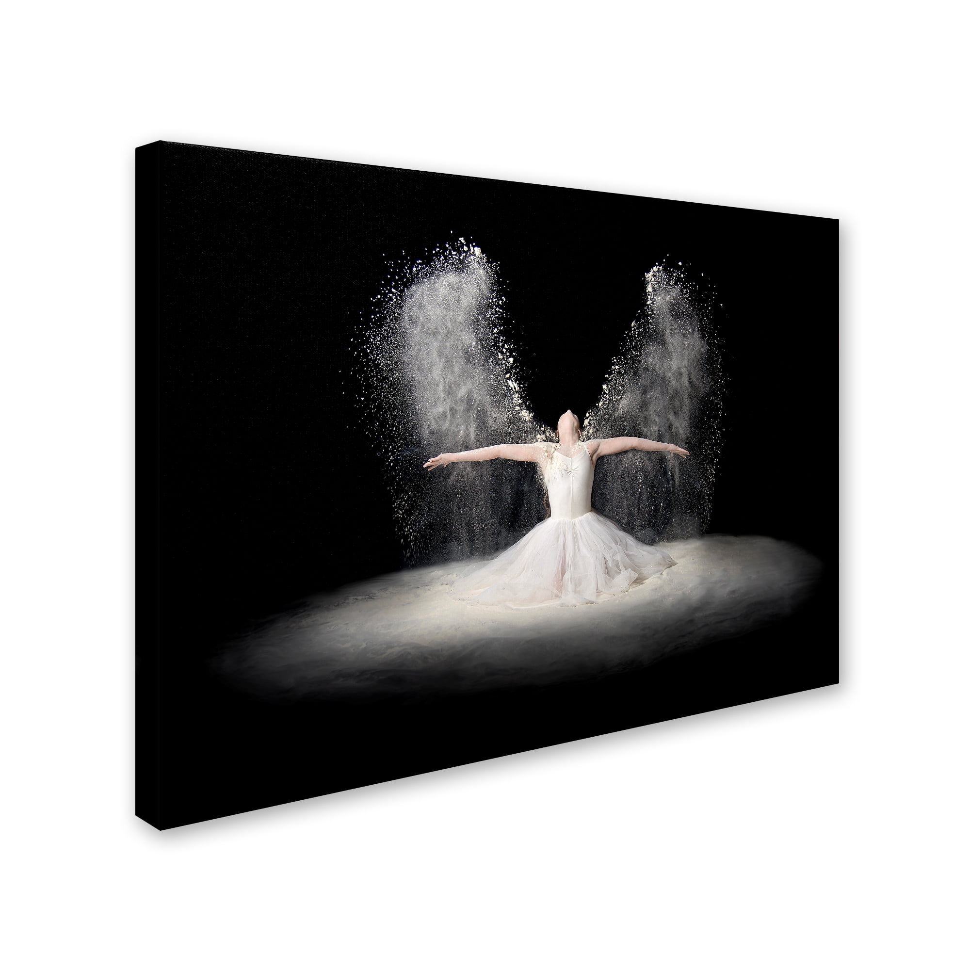 Flour Wings' Canvas Art by Pauline Pentony