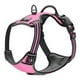 thumbnail image 1 of Arnes Para Perros De Raza Chica. Pechera Talla Extra Chica, 1 of 8