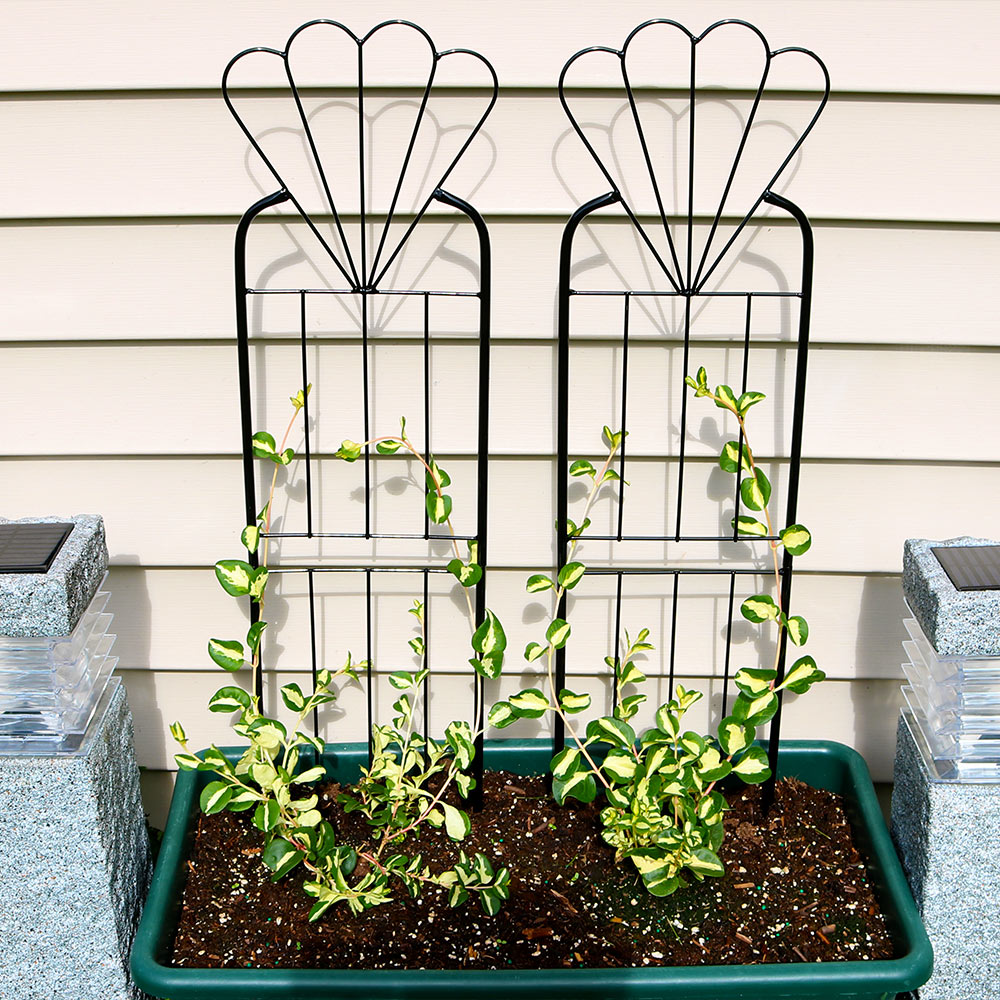 Sunnydaze 32 Inch Garden Trellis Flower Design, Set of 2 by Sunnydaze Decor