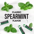 thumbnail image 4 of Bálsamo labial ChapStick Classic Spearmint, 4,4 ml (paquete de 12), 4 of 9