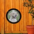 thumbnail image 4 of Acrílico PET BURBUCE Ventana Transparente Puerta Vista Vista Cúpula Césped Césped Cerrojo Backyard Frente Porche Animales grandes Accesorios Bebé negro sidaley PT003570-01B, 4 of 7