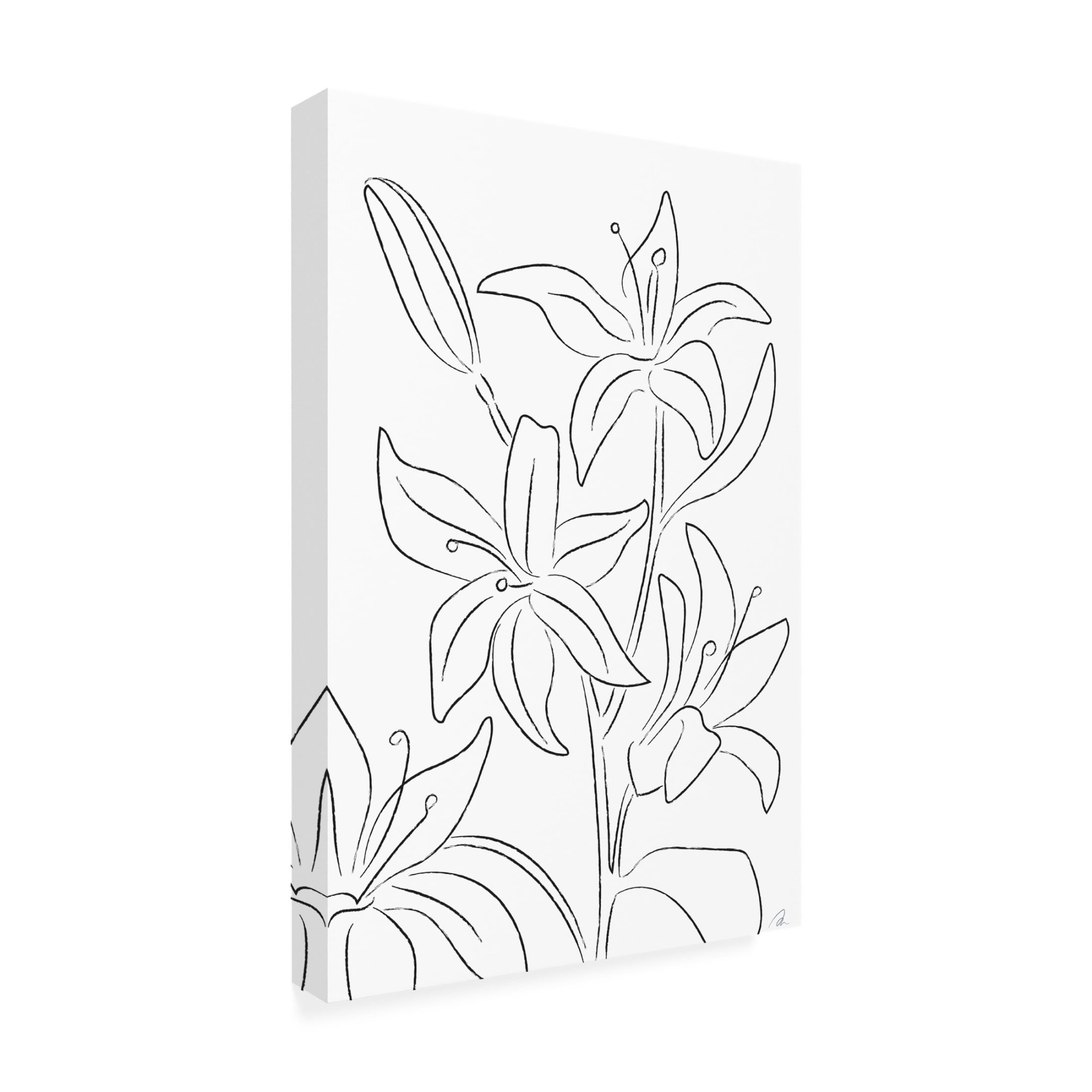 Trademark Fine Art Pictufy Studio Lillies No 02 Canvas Wall Art