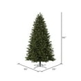 thumbnail image 2 of Vickerman 7.5' x 55" Boston Fraser Fir Artificial Christmas Tree, Warm White Dura-lit LED Lights, 2 of 2
