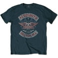 thumbnail image 1 of Aerosmith  Adult Boston Pride Cotton T-Shirt, 1 of 1