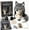 #05Z Wolf, variant on Fantasy Hood Hat DIY Crochet Kit Eye-Catching Cosplay Accessory, Perfect for TikTok Instagram Craft Content Creators