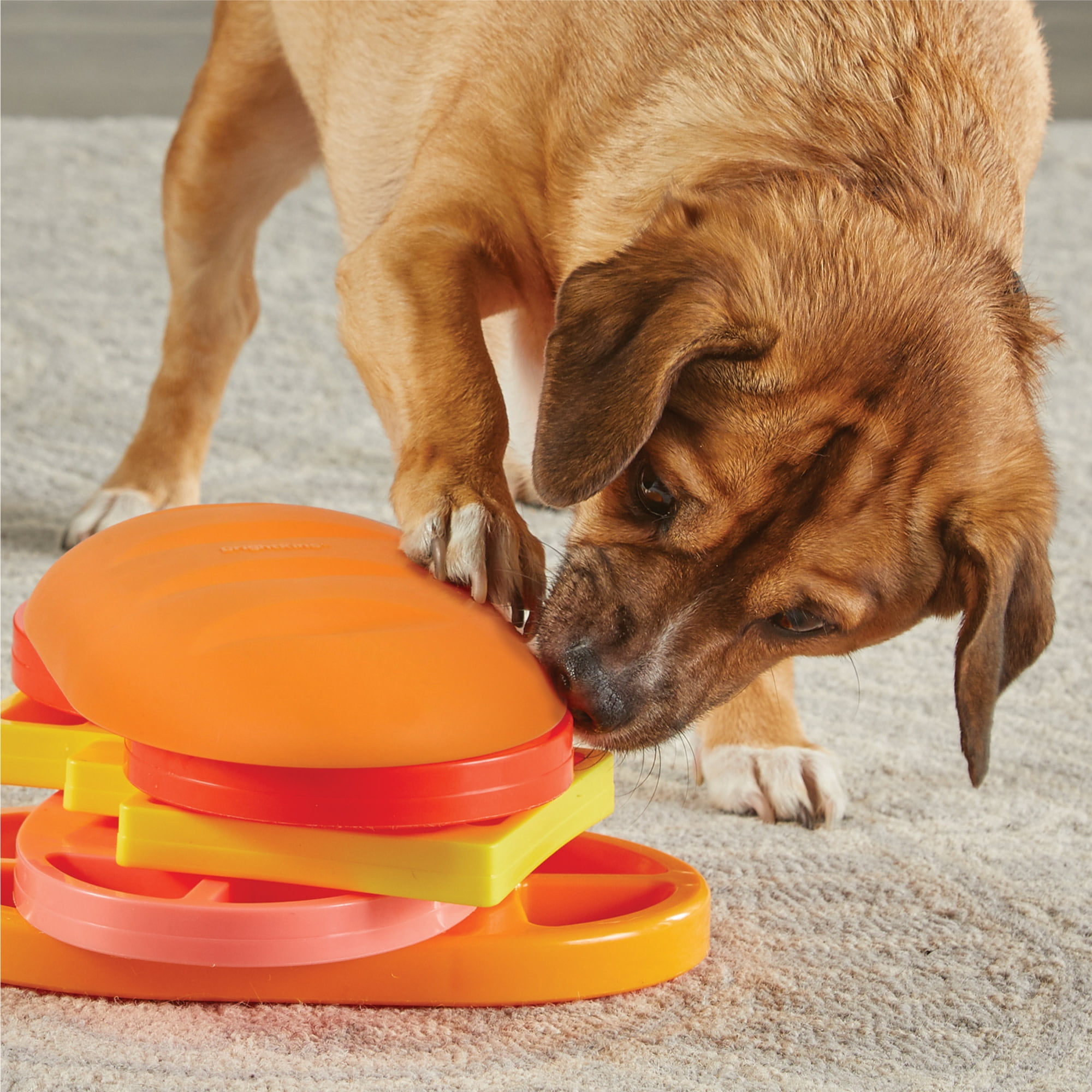 Brightkins Pupstrami Surprise! Treat Puzzle, Dog Toy Treat Dispenser for Puppy Enrichment