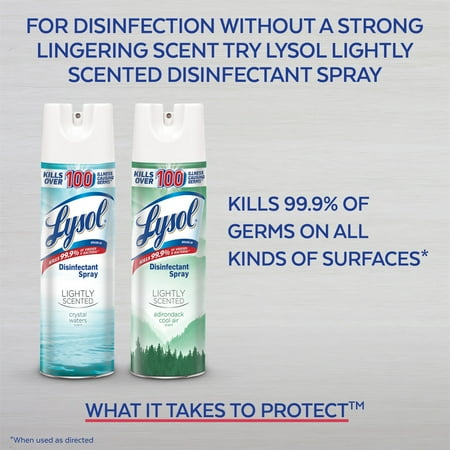 Lysol Max Cover Disinfectant Mist, Garden After Rain, 15oz, Tested and Proven to Kill COVID-19 Virus, Packaging May Vary