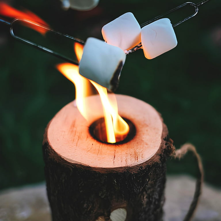 GoFire Single Fire Log, Easy-to-Light, Self-Contained for GoFire Single Fire Log, Easy-to-Light, Self-Contained for