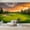 Color 4, variant on Wallpaper Golf Course Sunset Green Sand Bunkers Peel and Stick Wall Murals 100"H x 144"W Removable PVC Wall Paper Self-Adhesive Wall Paintings Art Decor for Bedroom Living Room