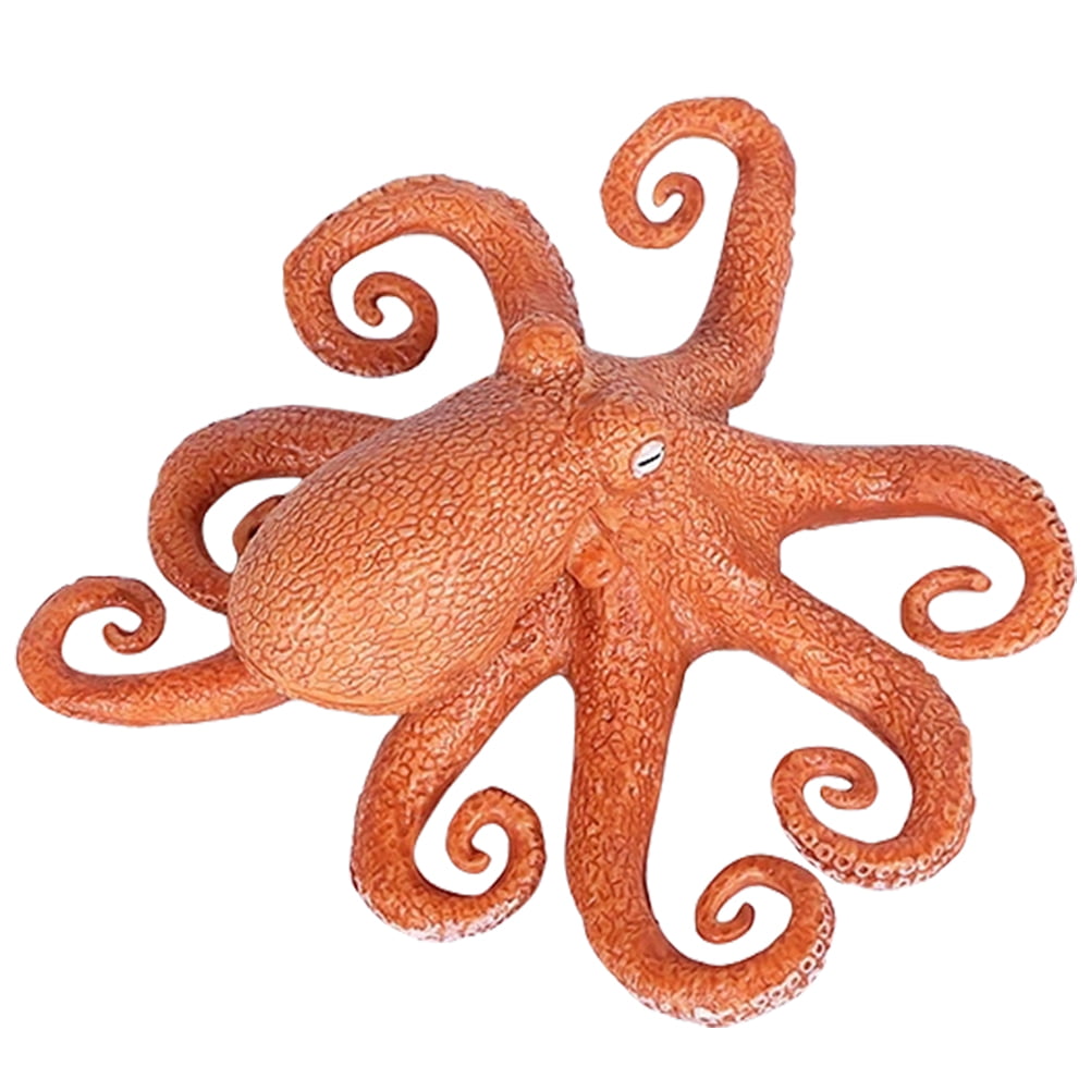 Octopus Position