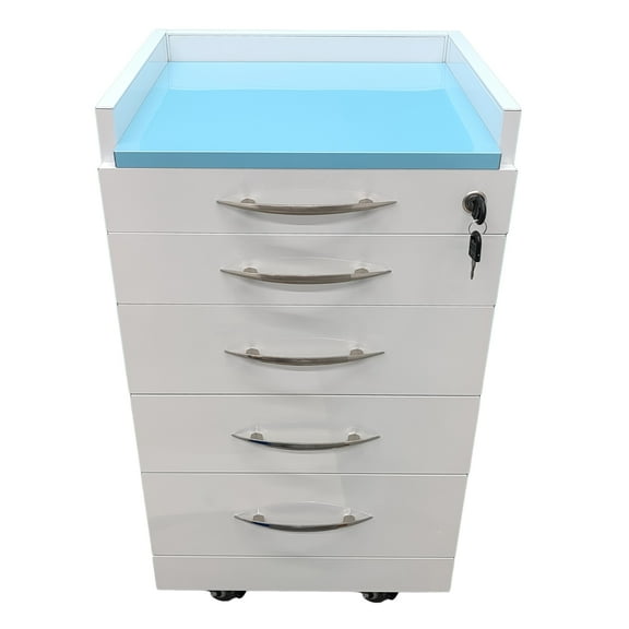 INTSUPERMAI Mobile Dental Cabinet Stainless Side Cabinet Storage Drawer with 2 Grid Trays