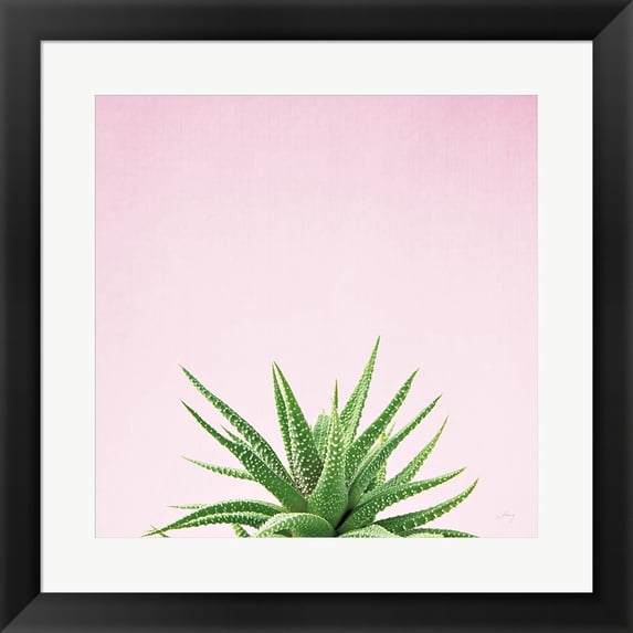 Succulent Simplicity I on Pink by Felicity Bradley, Framed Wall Art, 19.5W x 19.5H
