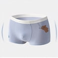 thumbnail image 5 of NIEWTR Toddler Boys Underwear Boxer Briefs Gentle Breeze Fabric Ultra Soft and Comfortable(Light Blue,3-4 Years), 5 of 6