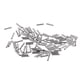 thumbnail image 3 of 100 piezas de alambre de cobre para aparejos de línea de guía, clips para cuerda de cable, conector de tubo 12x8mm, 3 of 5